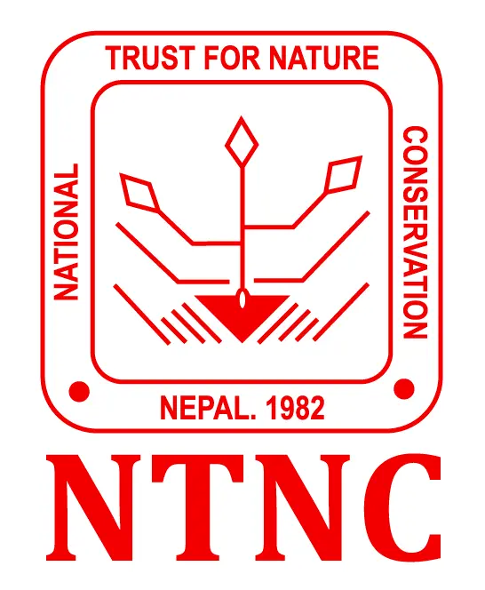 NTNC
